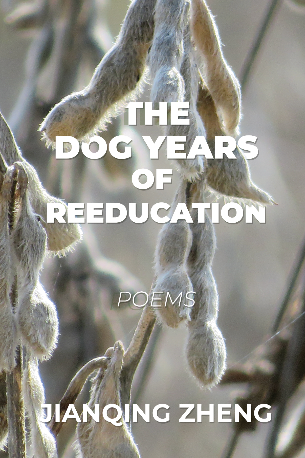 Read more about the article The Dog Years of Reeducation by Jianqing Zheng