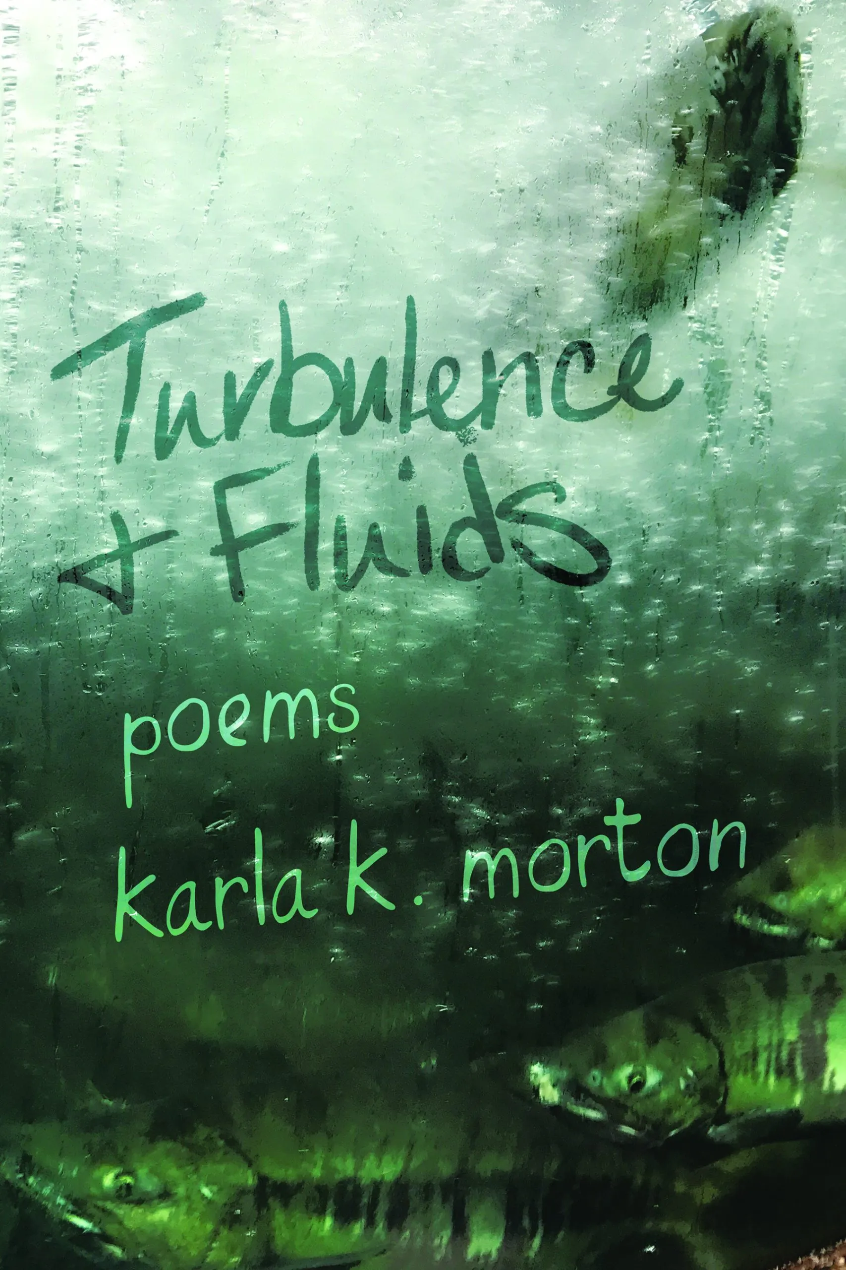 Read more about the article Turbulence & Fluids: poems by karla. k. morton Coming April 18, 2023.